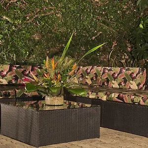 Aromax Del Campestre **** Medellin